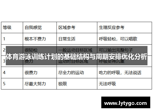 体育游泳训练计划的基础结构与周期安排优化分析